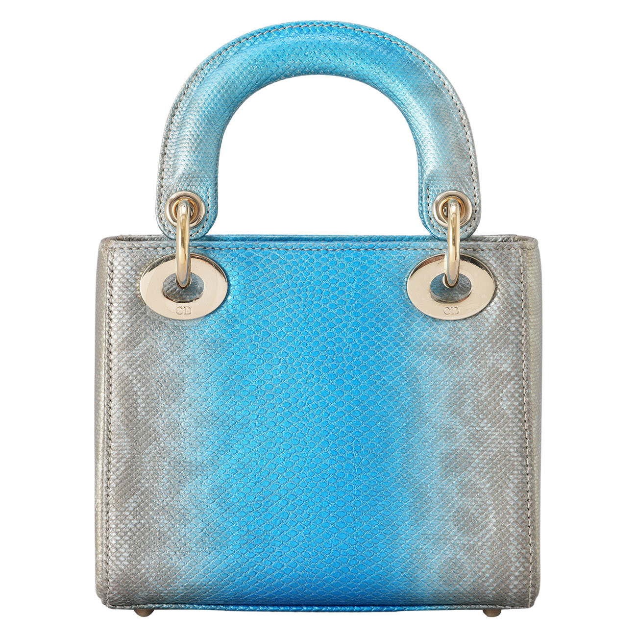 CHRISTIAN DIOR(USED)디올 리자드 레이디디올 미니  & 트윌리
